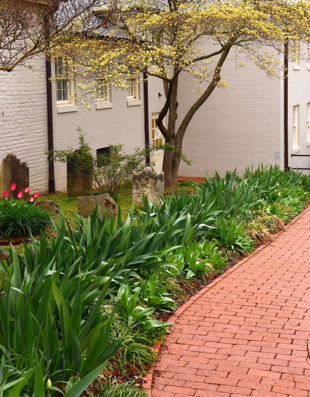 Brick Pathway Repair in Bergen County, NJ