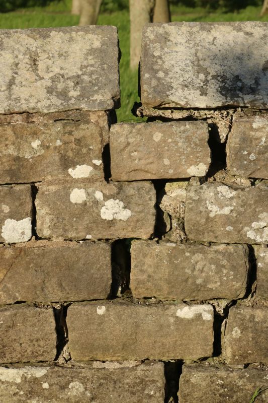 Stone Wall Repair in Paramus, NJ